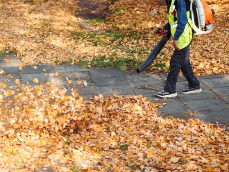 Park cleaning